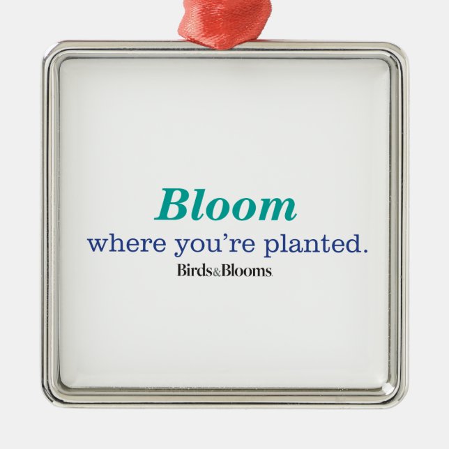 Adorno Metálico Donde te plantan (Frente)