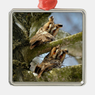 Adorno Metálico Dos búhos en los bosques, aves, ornamentación metá