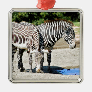 Adorno Metálico Dos cebras griegas cerca de un estanque