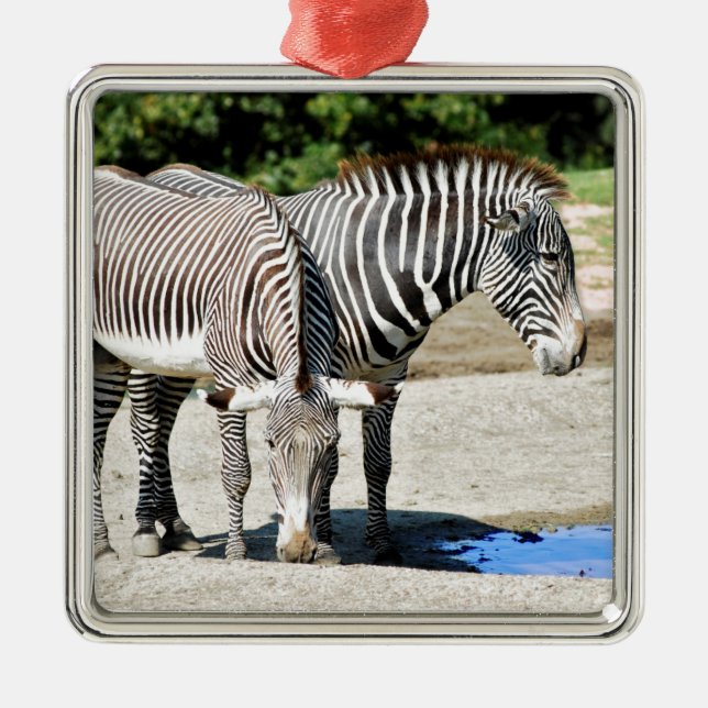 Adorno Metálico Dos cebras griegas cerca de un estanque (Frente)