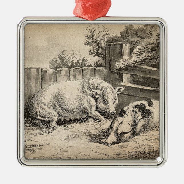 Adorno Metálico Dos cerdos yacen en la paja en una cerámica de plu (Frente)