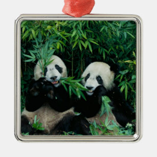 Adorno Metálico Dos pandas que comen el bambú junto, Wolong, 2