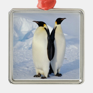 Adorno Metálico Dos pingüinos de emperador en la Antártida