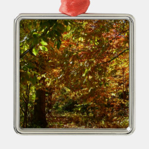 Adorno Metálico Dosel de Hojas de Otoño II Fotografía de Otoño Ama