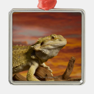 Adorno Metálico dragón con barba (Pogona Vitticeps) en la rama,