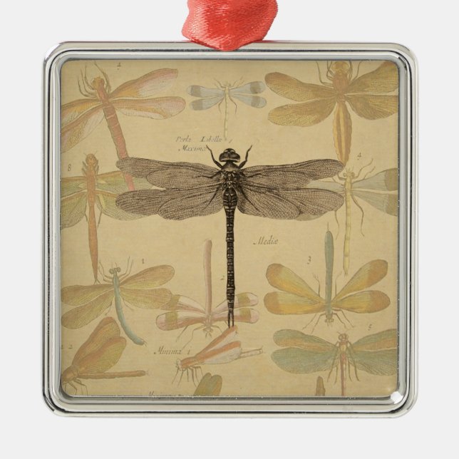 Adorno Metálico Dragonfly Vintage Antiguo Dibujo Clásico (Frente)