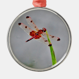 ADORNO METÁLICO DSC00029.JPG