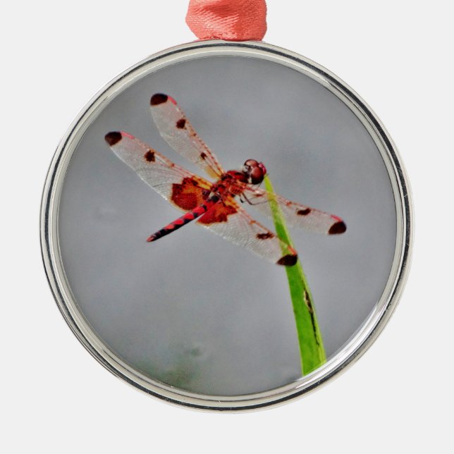 ADORNO METÁLICO DSC00029.JPG (Frente)