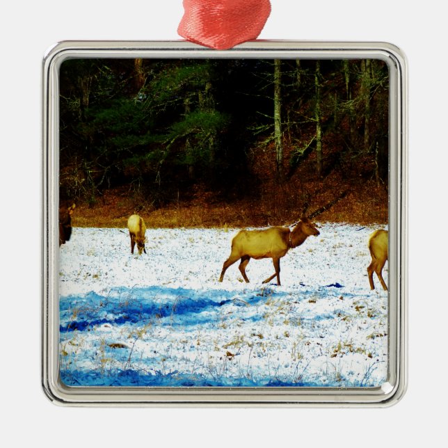 ADORNO METÁLICO DSC00131.JPG (Frente)