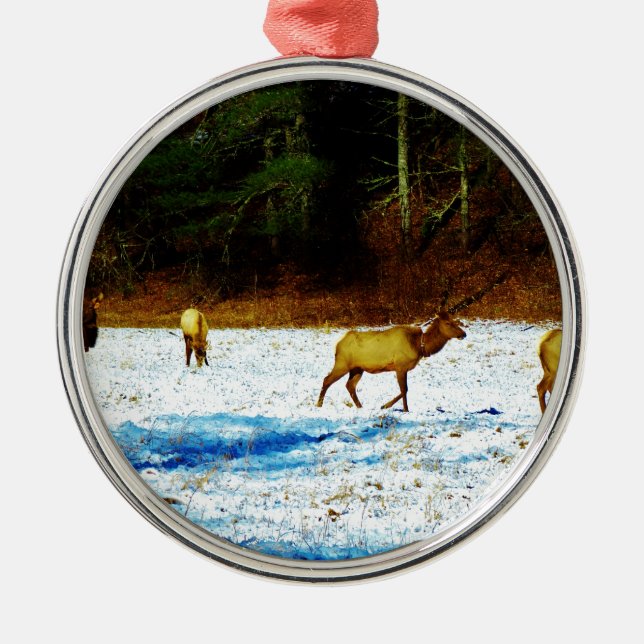 ADORNO METÁLICO DSC00131.JPG (Frente)