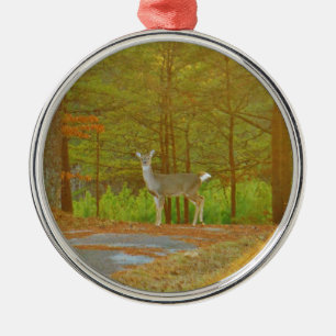 ADORNO METÁLICO DSCF4041.JPG