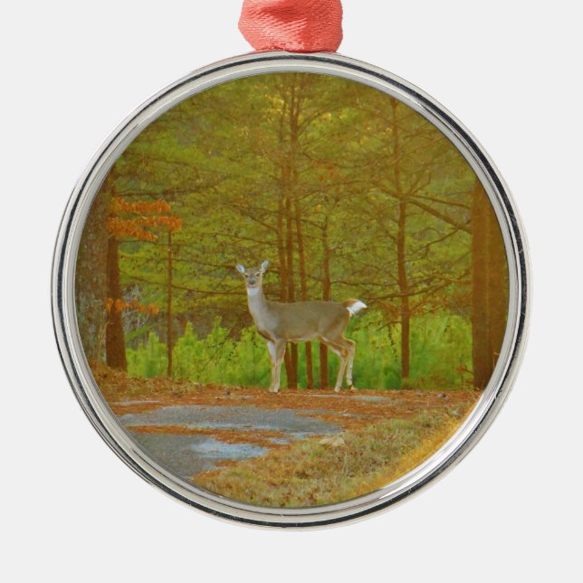 ADORNO METÁLICO DSCF4041.JPG (Frente)