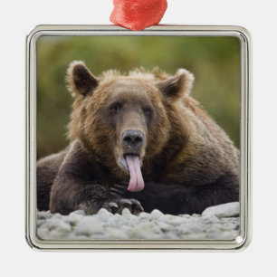 Adorno Metálico EE.UU., Alaska, Parque Nacional Katmai, Bahía Kuka