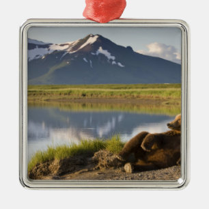 Adorno Metálico EE. UU., Alaska, Parque Nacional Katmai, Osos pard