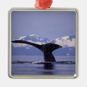 Adorno Metálico EE. UU., Alaska, Pasaje Interior Ballena jorobada