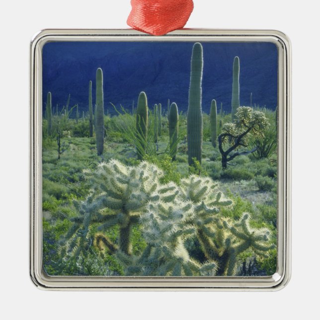 Adorno Metálico EE.UU., Arizona, Organ Pipe Cactus National (Frente)