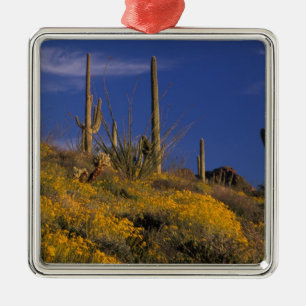 Adorno Metálico EE. UU., Arizona, Parque Nacional Cactus de Tubo d
