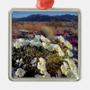 Adorno Metálico EE.UU., California, Anza-Borrego DSP. Noche 2