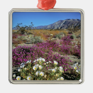 Adorno Metálico EE. UU., California, Anza-Borrego DSP. Tarde de du