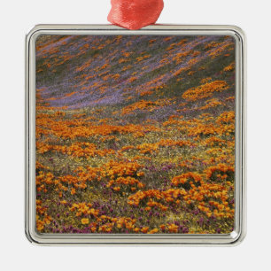 Adorno Metálico EE. UU., California, Montañas Tehachapi, 2