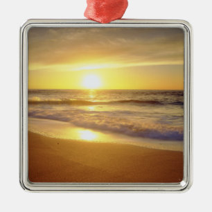 Adorno Metálico EE.UU., California, San Diego. La Jolla