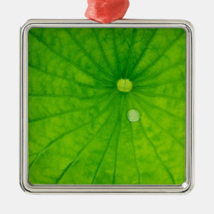 Adorno Metálico EE. UU.; Carolina del Norte; Hoja de loto con gota