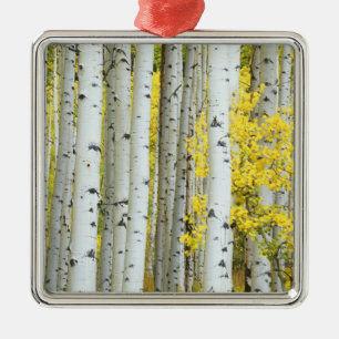 Adorno Metálico EE.UU., Colorado, White River National Forest,