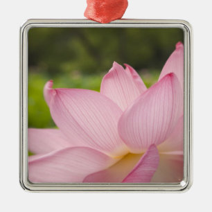 Adorno Metálico EE.UU., DC, Washington, Kenilworth Aquatic 2