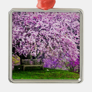 Adorno Metálico EE.UU., Delaware, Wilmington. Banco de madera deba