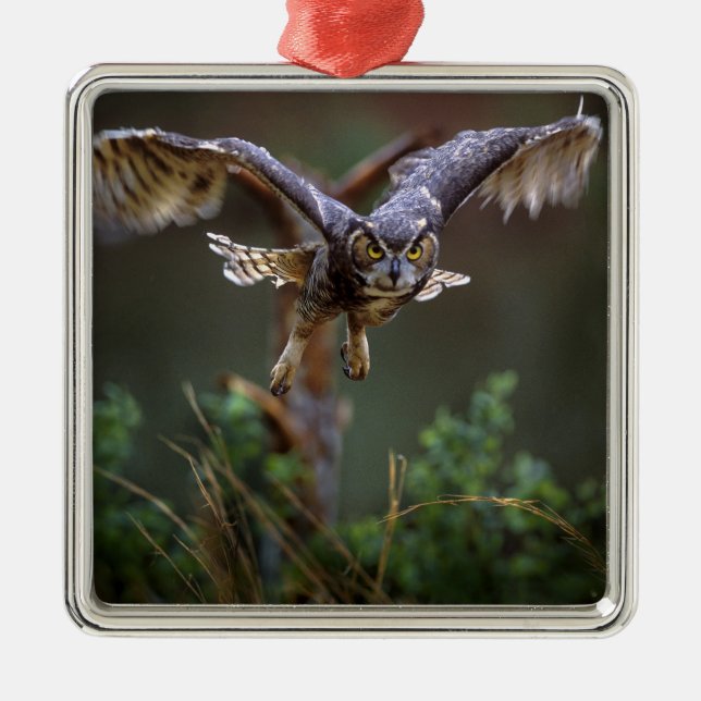 Adorno Metálico EE.UU., Georgia, Montaña Pine, Jardines Callaway. (Frente)