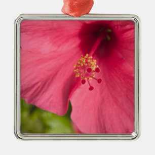 Adorno Metálico EE. UU., Hawái, Kauai, Hibisco