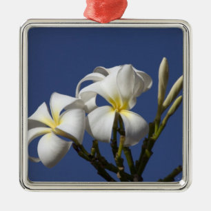 Adorno Metálico EE. UU., Hawái, Kauai, plumeria blanca.