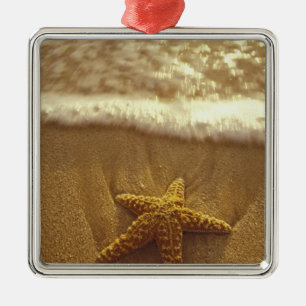 Adorno Metálico EE. UU., Hawái, Maui, Maui, Kihei, Estrella de mar