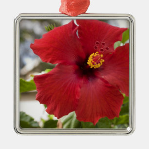 Adorno Metálico EE. UU., Hawái, Oahu. El Hibisco es el