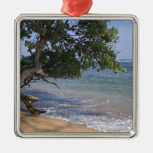 Adorno Metálico EE.UU., Hawaii, Kauai, paisaje de playa. RF) (Frente)