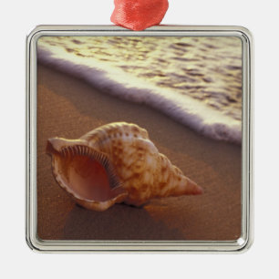 Adorno Metálico EE.UU., Hawaii, Maui, Kihei, la noche se enciende