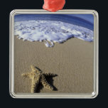 Adorno Metálico EE.UU., Hawaii, Maui, Makena Beach, Starfish y<br><div class="desc">EE.UU.,  Hawaii,  Maui,  Makena Beach,  Starfish and surf � Darrell Gulin / DanitaDelimont.com</div>