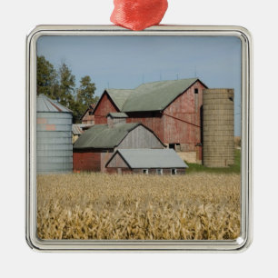 Adorno Metálico EE. UU., IOWA, Froelich: Granja antigua