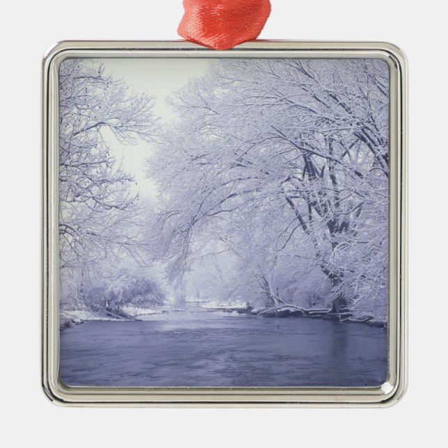 Adorno Metálico EE.UU., Kentucky, Louisville. Nieve cubierta (Frente)