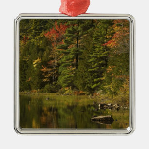 Adorno Metálico EE. UU.; Maine; PN de Acadia. Reflejos de otoño a