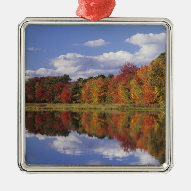 Adorno Metálico EE.UU., Massachusetts, Acton. Reflejo del otoño (Frente)