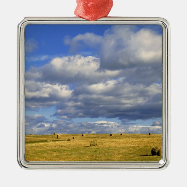 Adorno Metálico EE.UU., Nebraska, Condado de Morrill. Heno dorado (Frente)