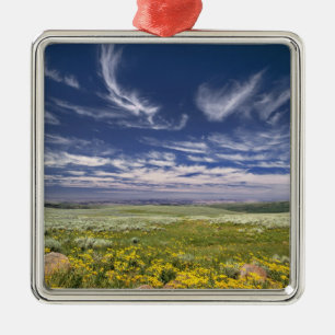 Adorno Metálico EE.UU., Oregón, Steens Mountain. Burgueses de prim