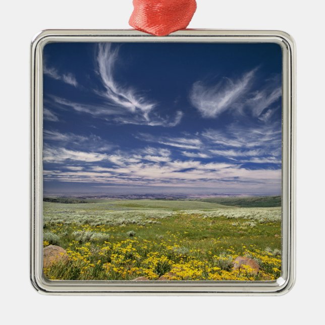 Adorno Metálico EE.UU., Oregón, Steens Mountain. Burgueses de prim (Frente)