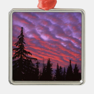 Adorno Metálico EE.UU., Oregón, Tres Hermanas Silvestre, Vivid