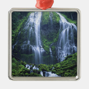 Adorno Metálico EE.UU., Oregón, Willamette National Forest. Vista 