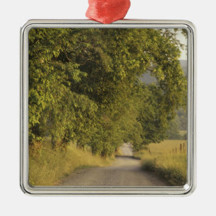 Adorno Metálico EE.UU., Tennessee, Great Smoky Mountains National 