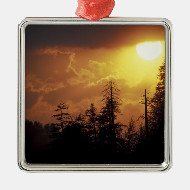 Adorno Metálico EE.UU., Tennessee, Great Smoky Mountains NP.2 (Frente)