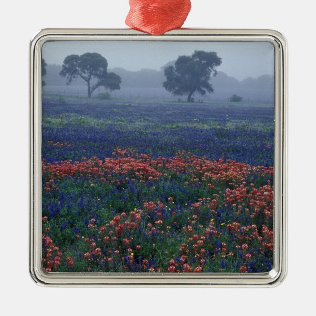 Adorno Metálico EE.UU., Texas, cerca de Lytle Fog, robles, ungüent (Frente)