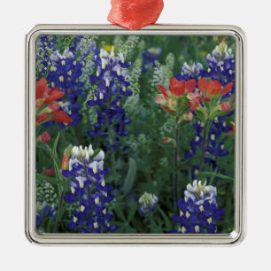 Adorno Metálico EE. UU., Texas Hill Country. Bluebonnets y